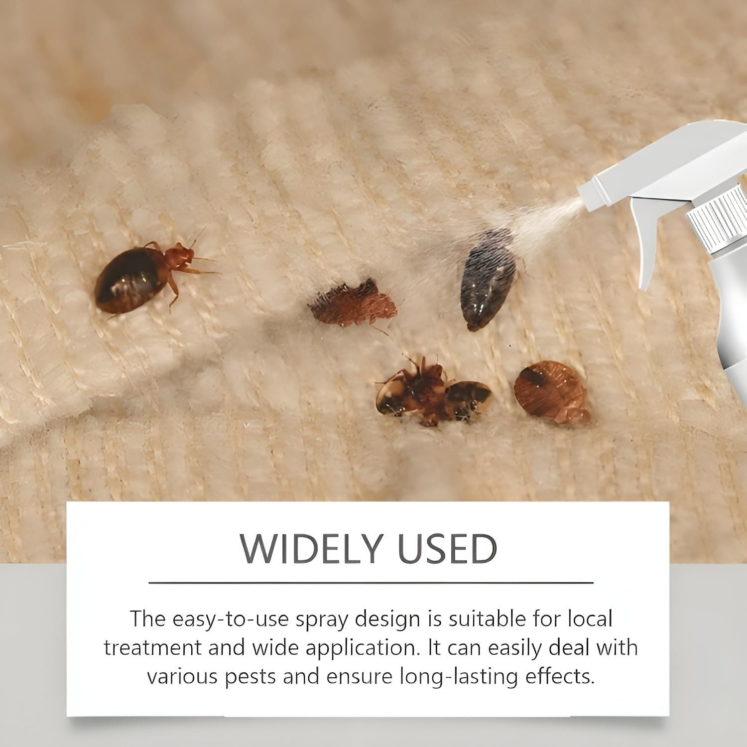 Crawling Insect Killer – Cockroach Killer Spray | Instant Kill | Deep-Reach Nozzle | Fresh Fragrance