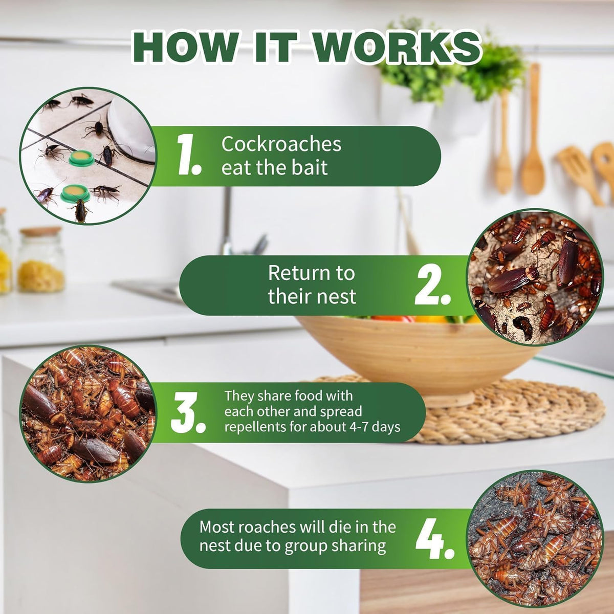 HIRVA CREATION Roach Repellent Tablets – 12 Pcs, Indoor & Outdoor Cockroach Deterrent, Natural Pest Control Discs, Keep Roaches Away, Protect Home &...